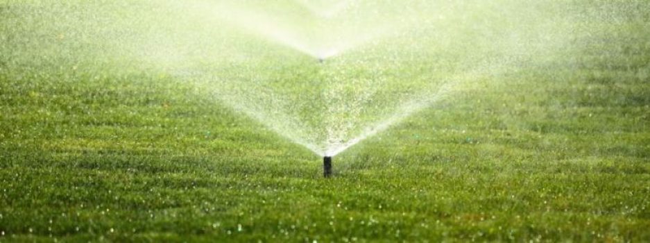 55+ Bewässerungsanlage Für Rasen, Bei wasserpumpe.de finden sie