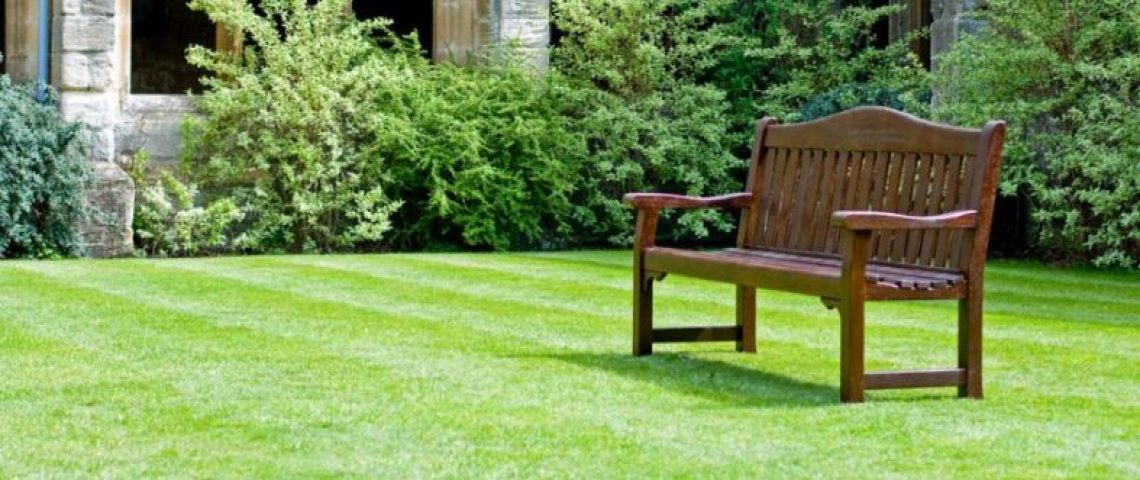 Englischer Rasen Eigenschaften, Saatgut, Pflege und Empfehlungen