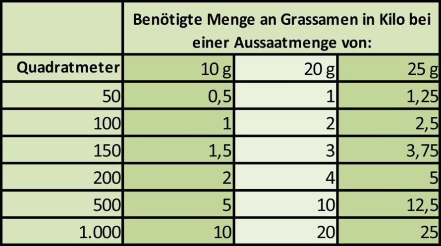 Rasensamen Kauf, Saat und Rasenpflege Gartenfans.info