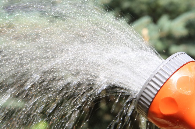 Rasenpflege im Sommer - Gartenschlauch