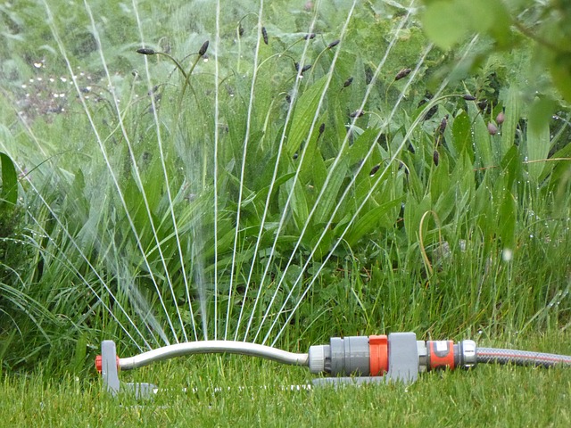 Rasenpflege im Sommer - Rasensprenger
