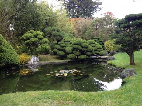 Einen Gartenteich anlegen macht Spaß und bringt später viel Entspannung. Foto jonatanmaldonado via Twenty20
