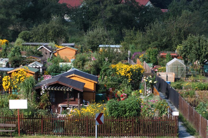Ein Gartengrundstück in einer Kleingartenanlage lässt sich nicht so einfach wieder verkaufen. Foto © Eberhard stock adobe