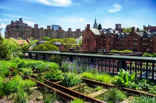 Urban Gardening – mehr Grün kann der Wert der Immobilie erhöhen. Foto © Albachiaraastock adobe