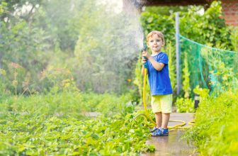 In trockenen Sommern brauchen die Pflanzen im Garten viel Wasser. Foto ©spyrakot stock adobe