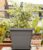 EMSA® ‚My City Garden‘ Blumenkübel granit eckig 30x30x26 cm