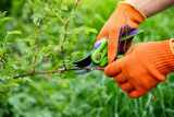 Die wichtigsten Werkzeuge für die Gartenarbeit