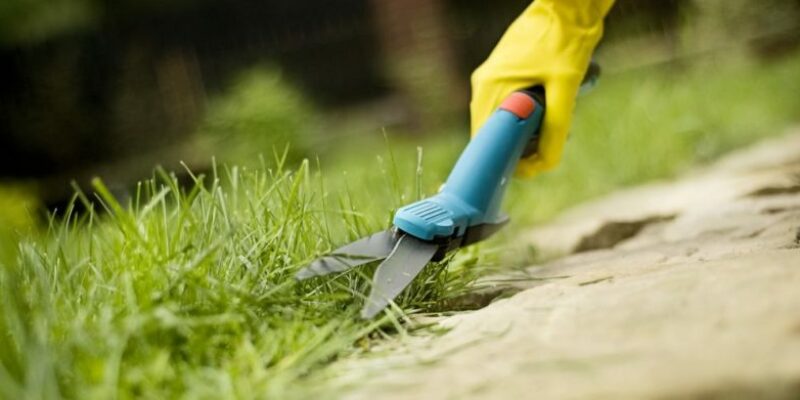 Grasscheren – ein Kaufratgeber