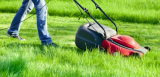 Rasen mähen – Tipps zur Wahl des richtigen Rasenmähers