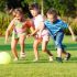 Sportrasen (Golfrasen) – Eigenschaften, Saatgut, Pflege und Empfehlungen